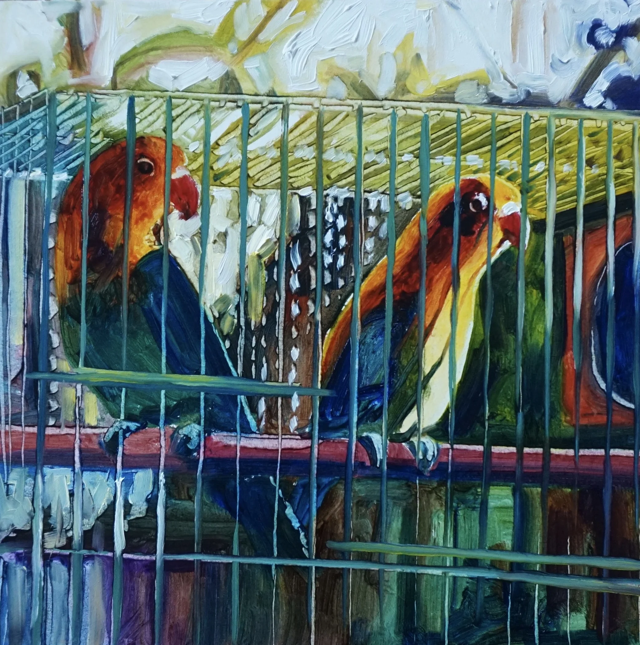 Love Birds