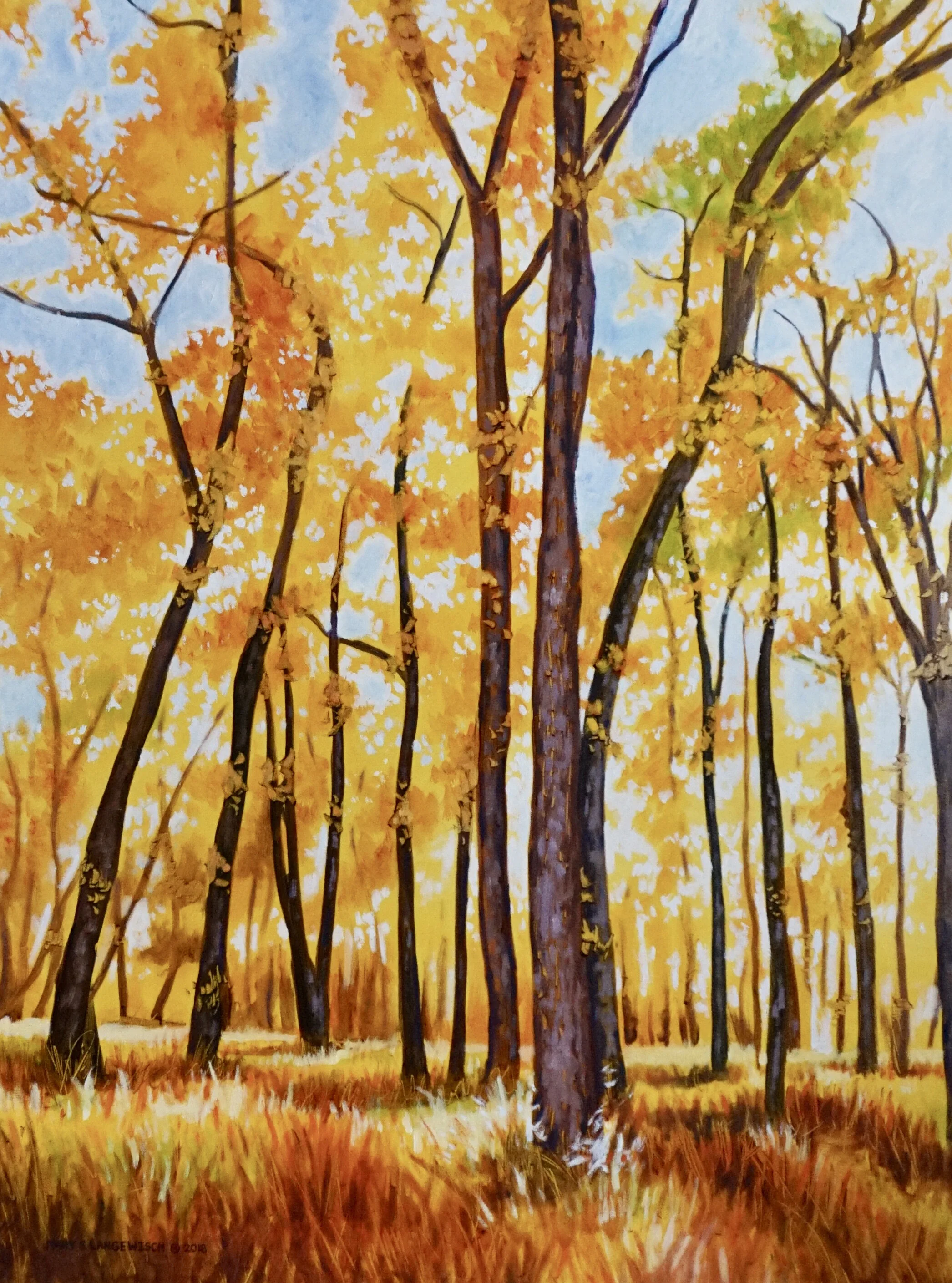 AutumnWalk.jpg