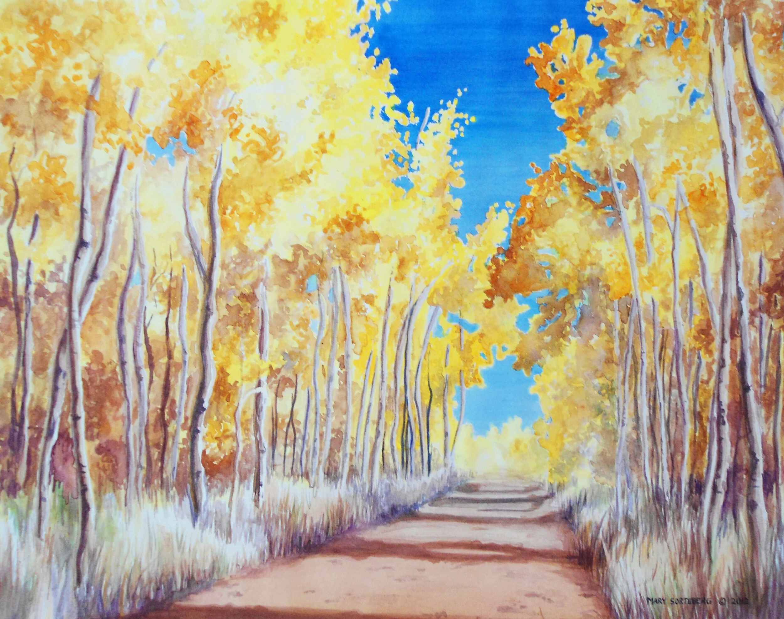 aspen_edited-1.jpg