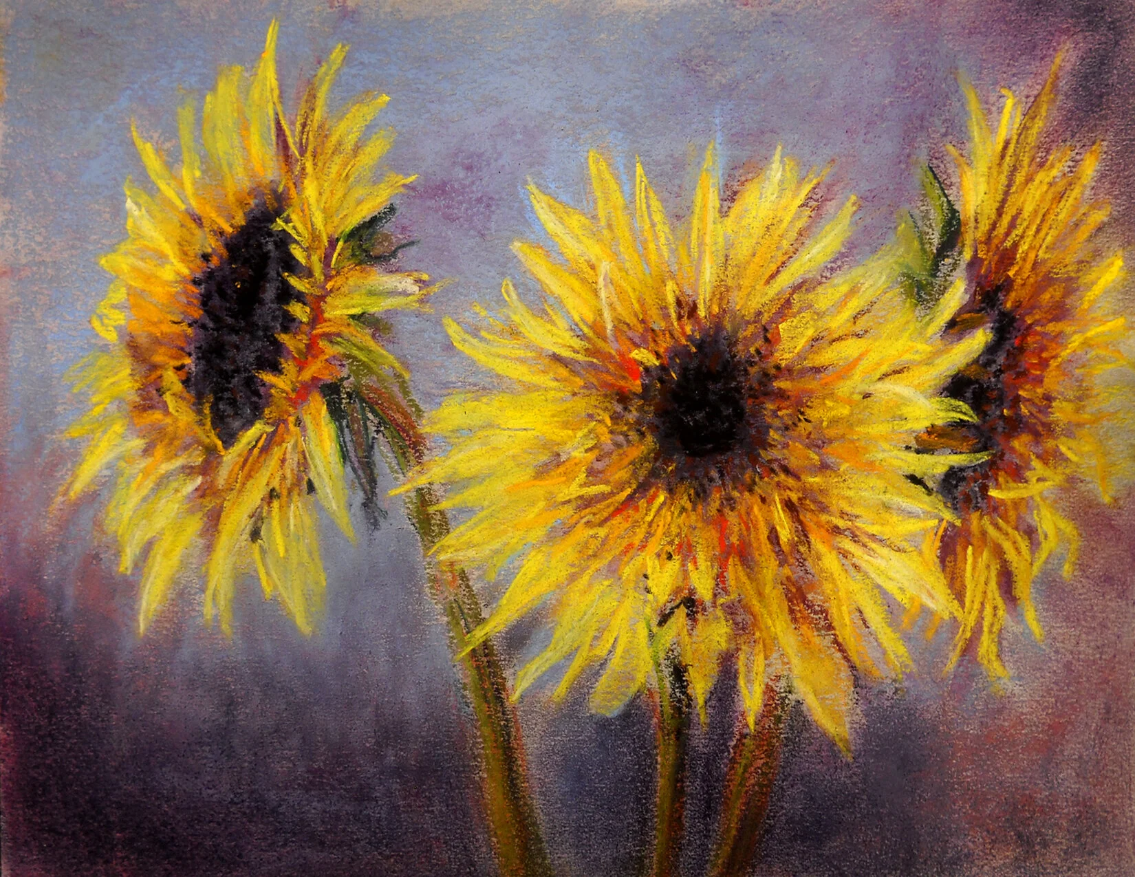 sunflowers 2011.JPG