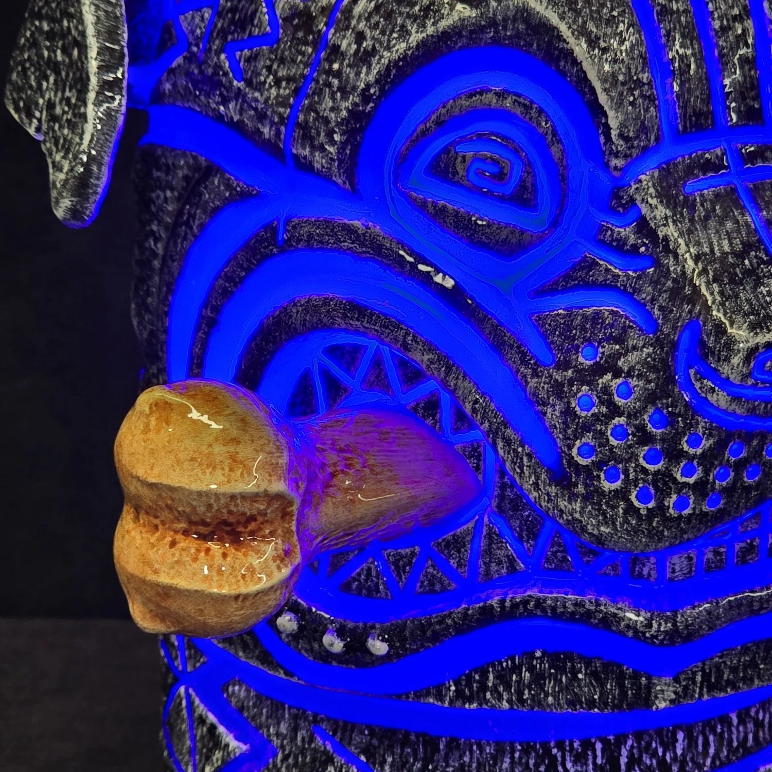20250926_115500 - Copy.jpg