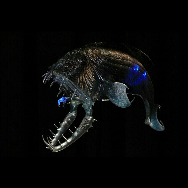 finding nemo angler fish toy