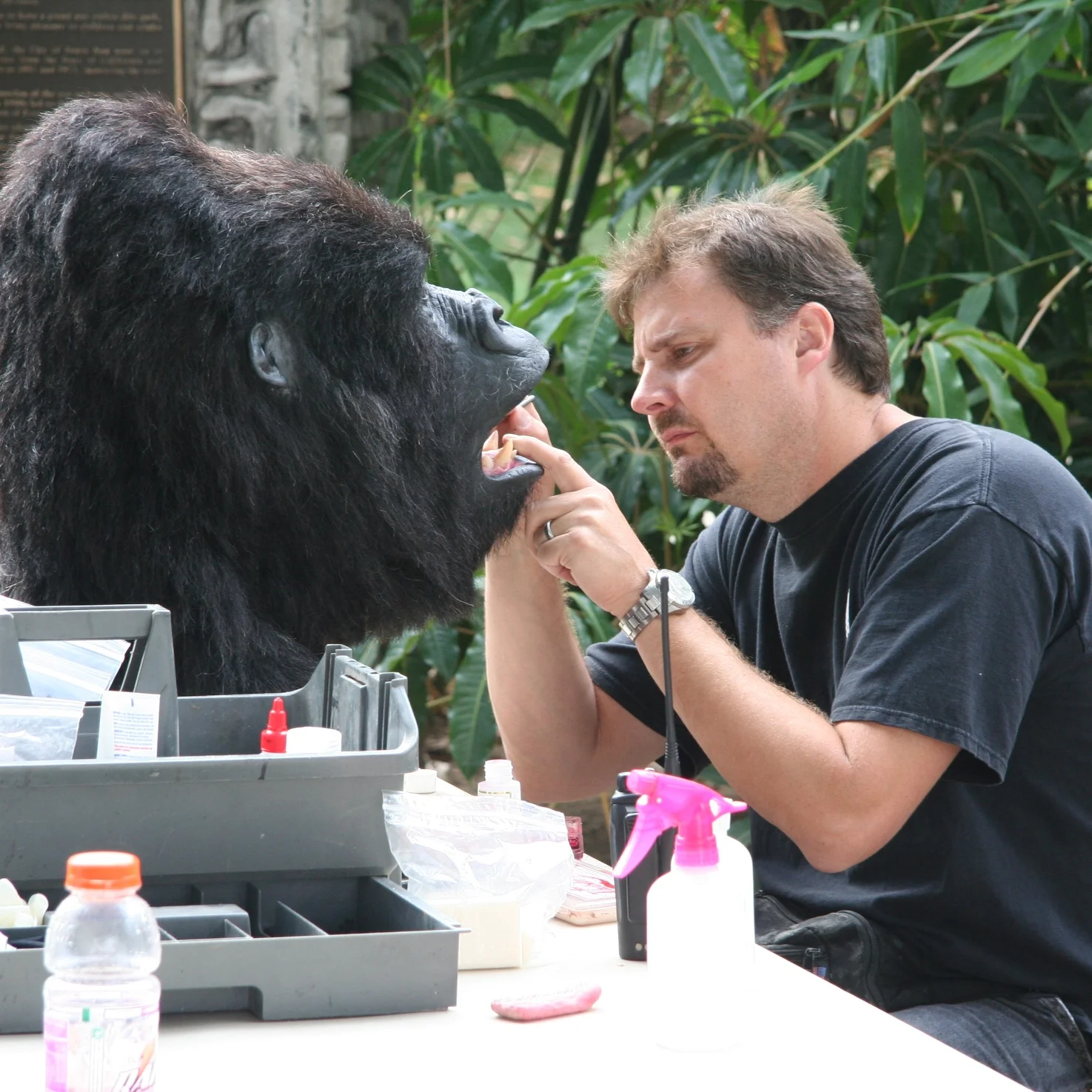 6-24-08 004 - Copy.jpg
