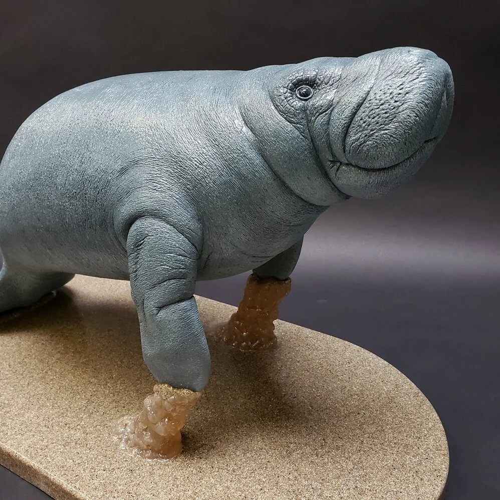 20191218_101940 - Copy.jpg