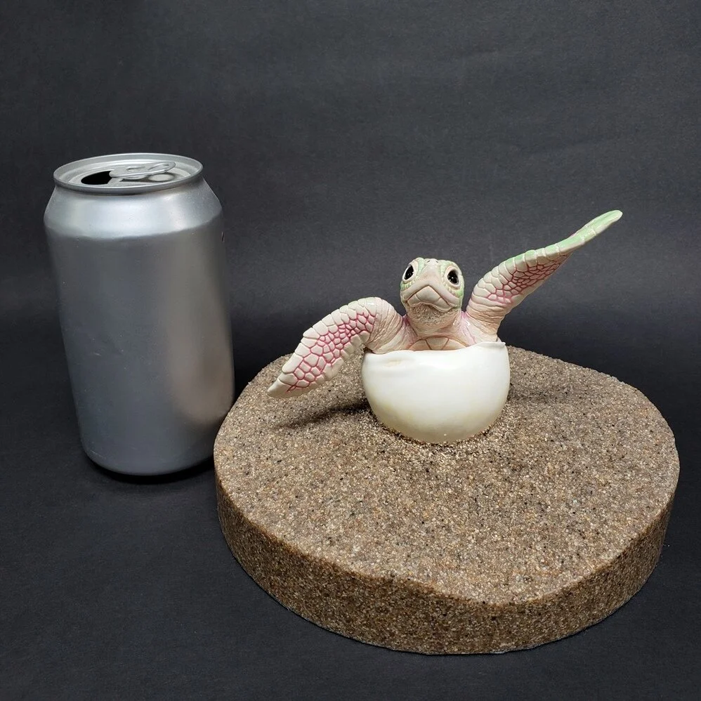 20200812_142324 - Copy.jpg