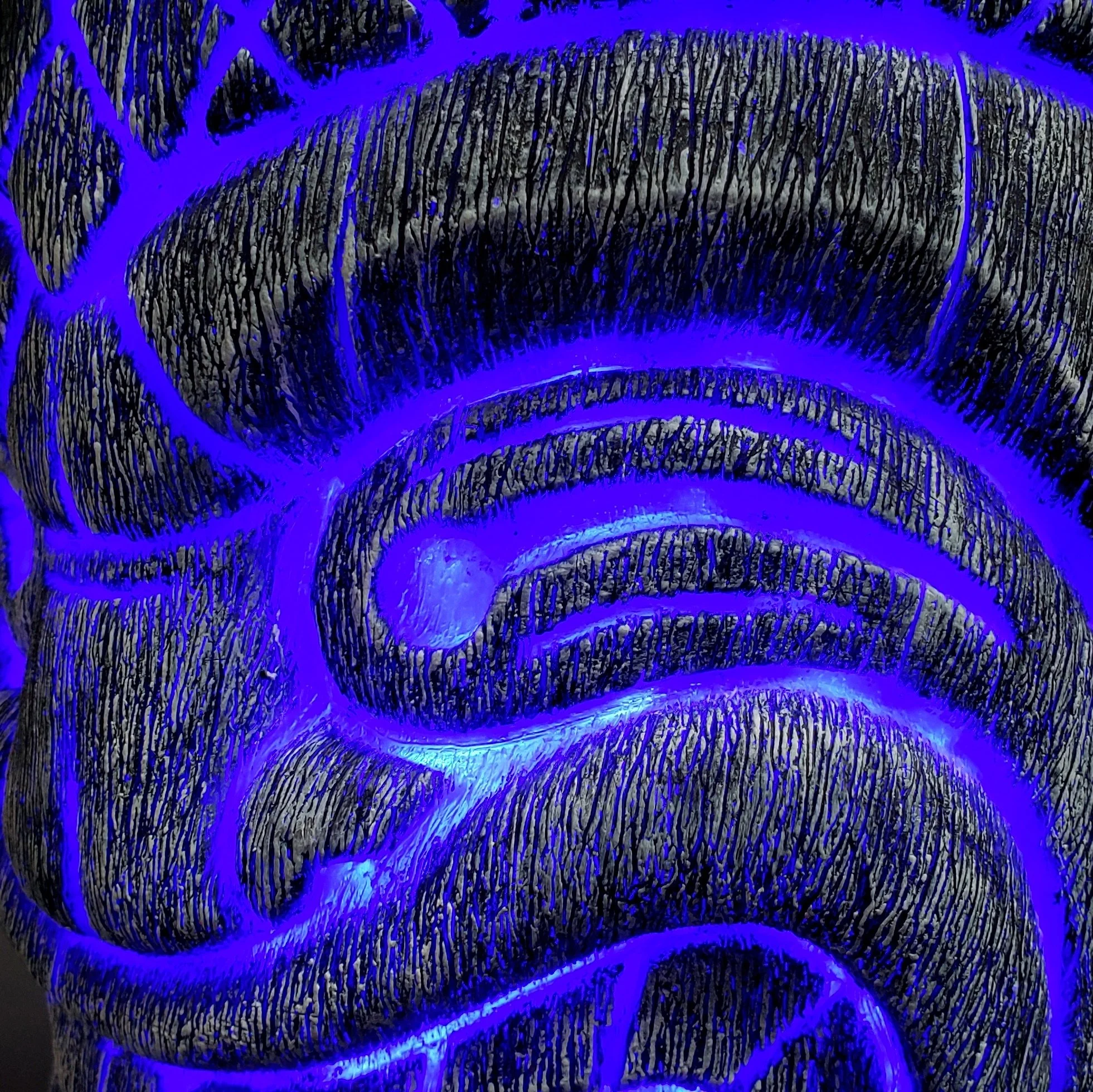 20181115_111123 - Copy.jpg