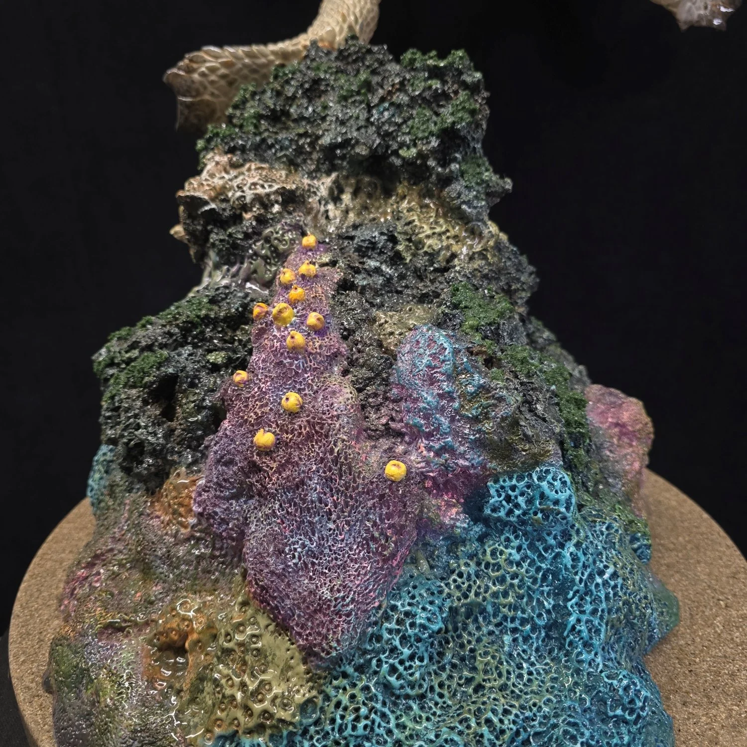 20260404_151234 - Copy.jpg