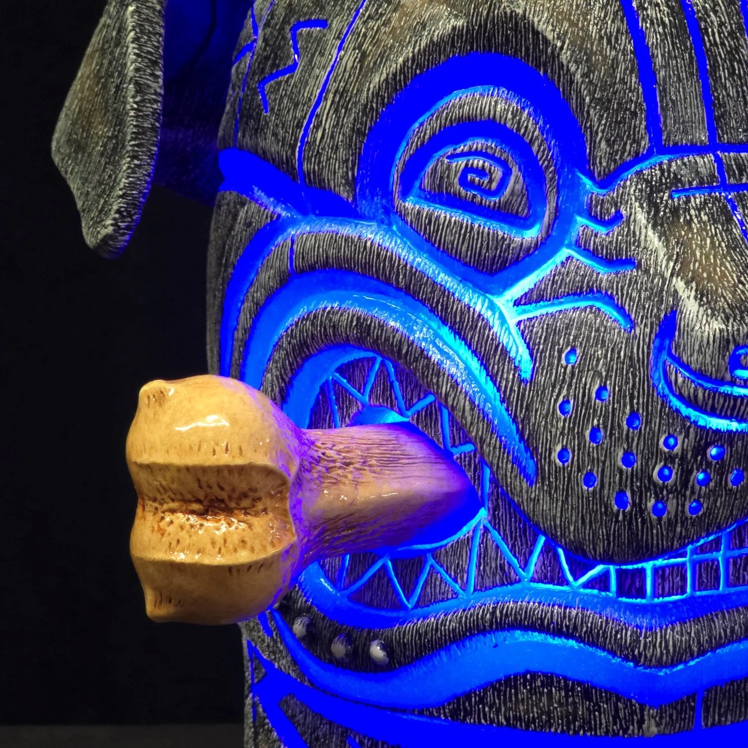 20260226_121446 - Copy.jpg