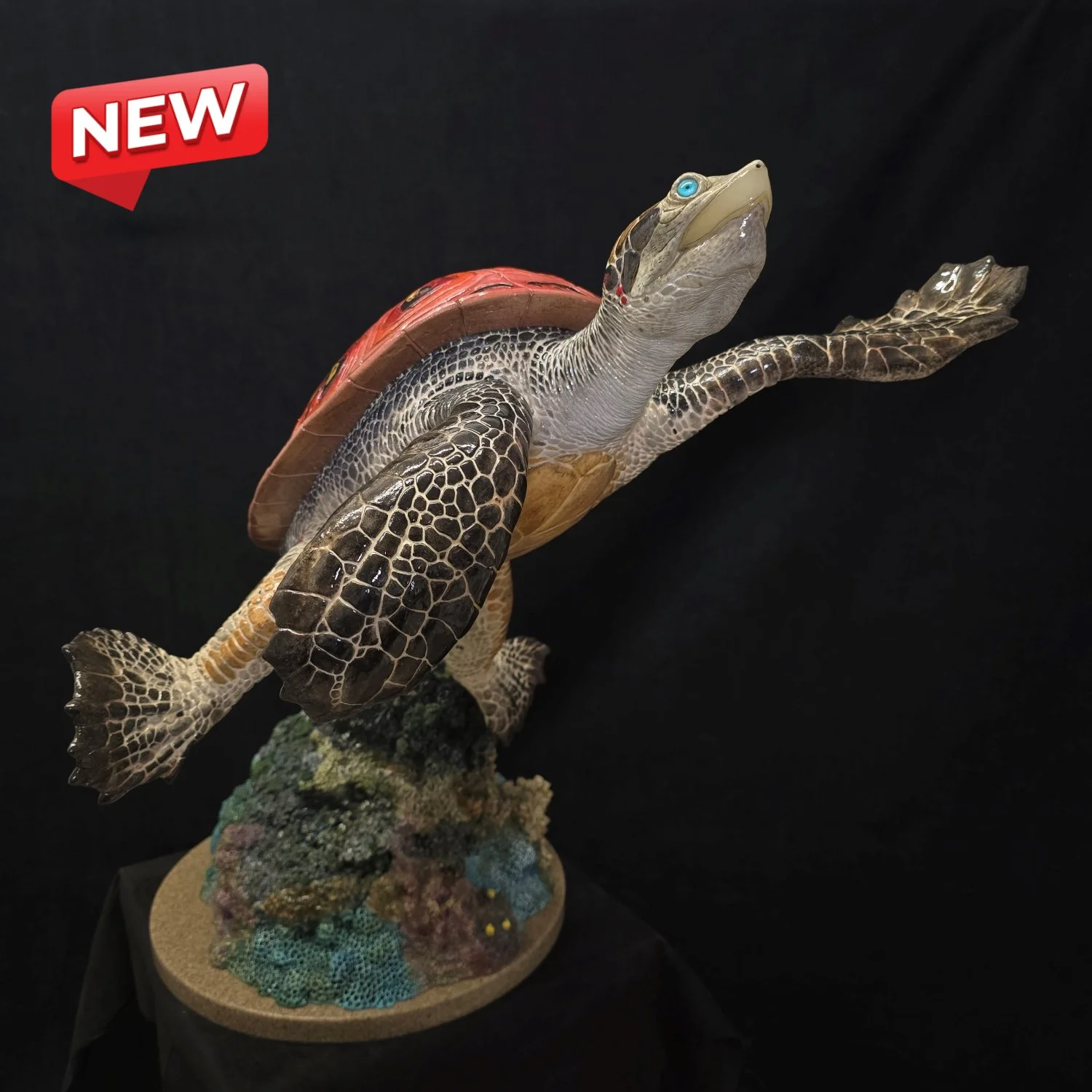 20231009_114533 - Copy - Copy.jpg