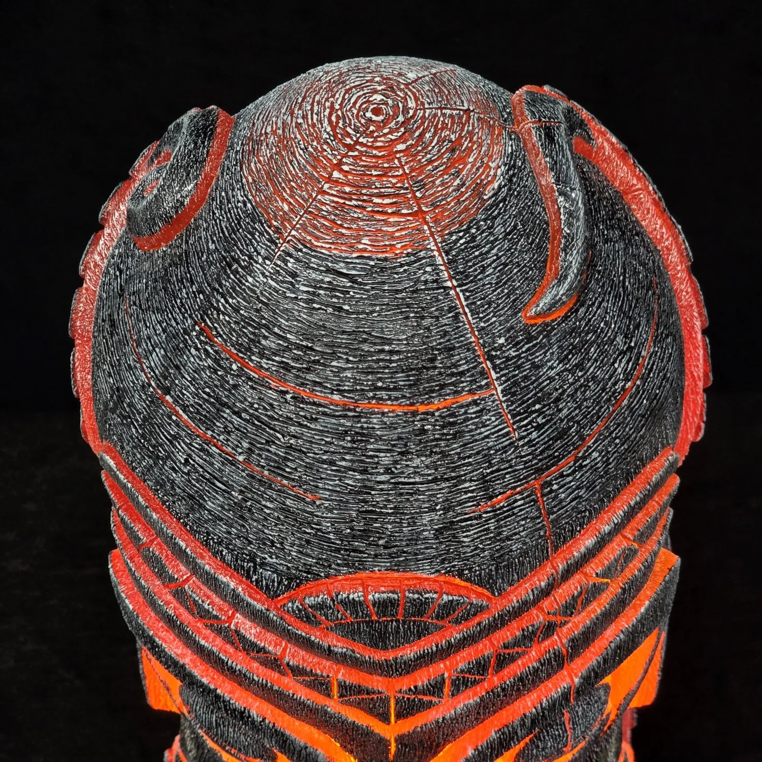 20250219_111844 - Copy.jpg