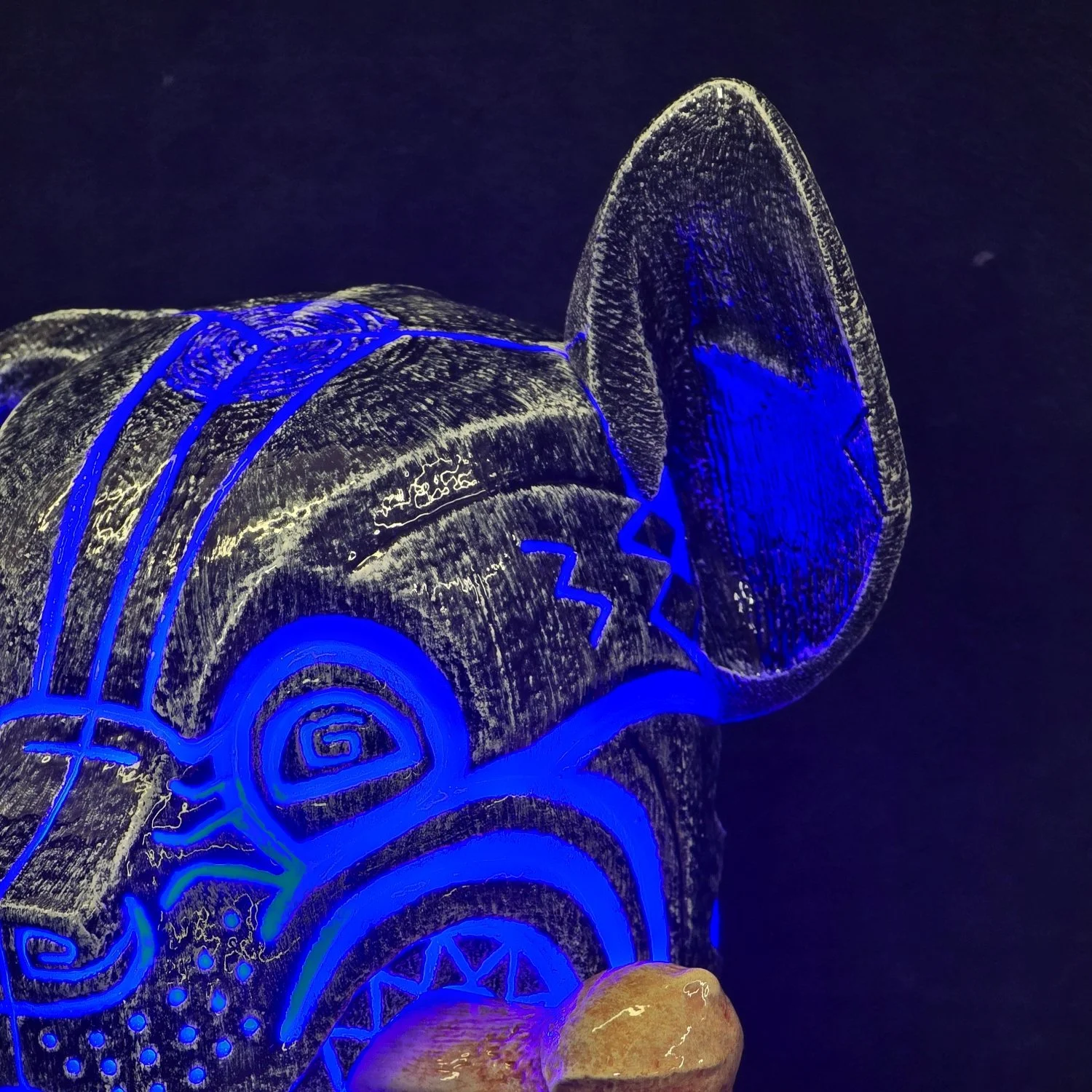 20250926_115239 - Copy.jpg