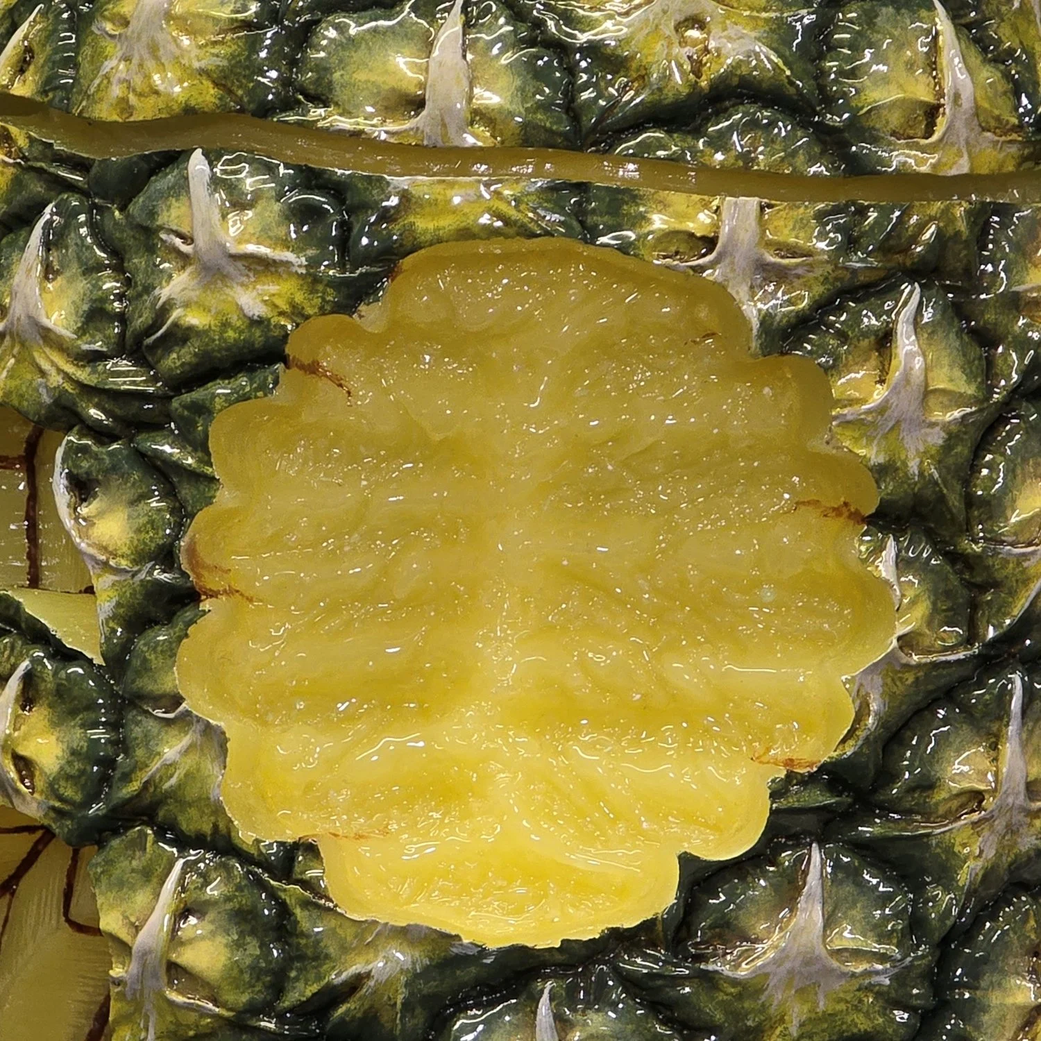 20250228_124734 - Copy.jpg