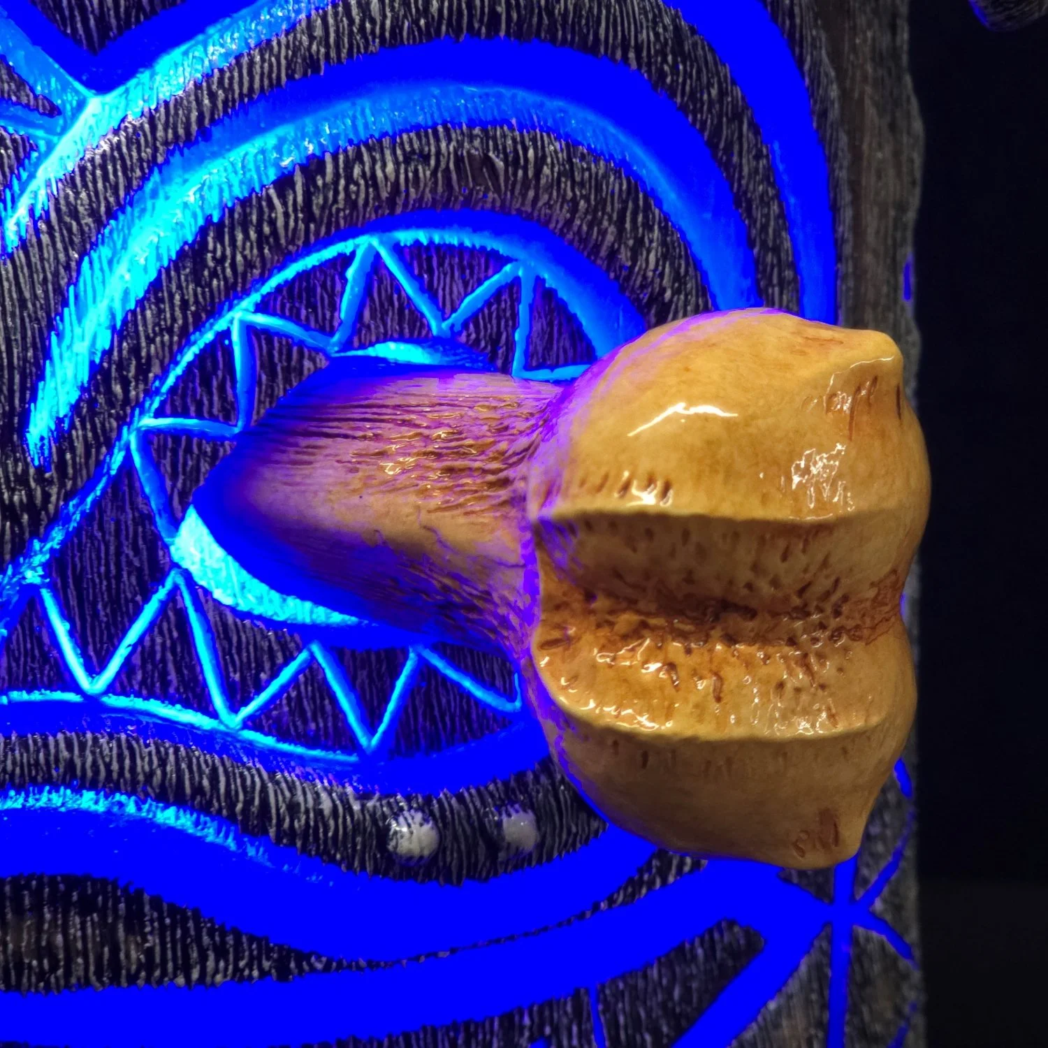 20260226_121728 - Copy.jpg