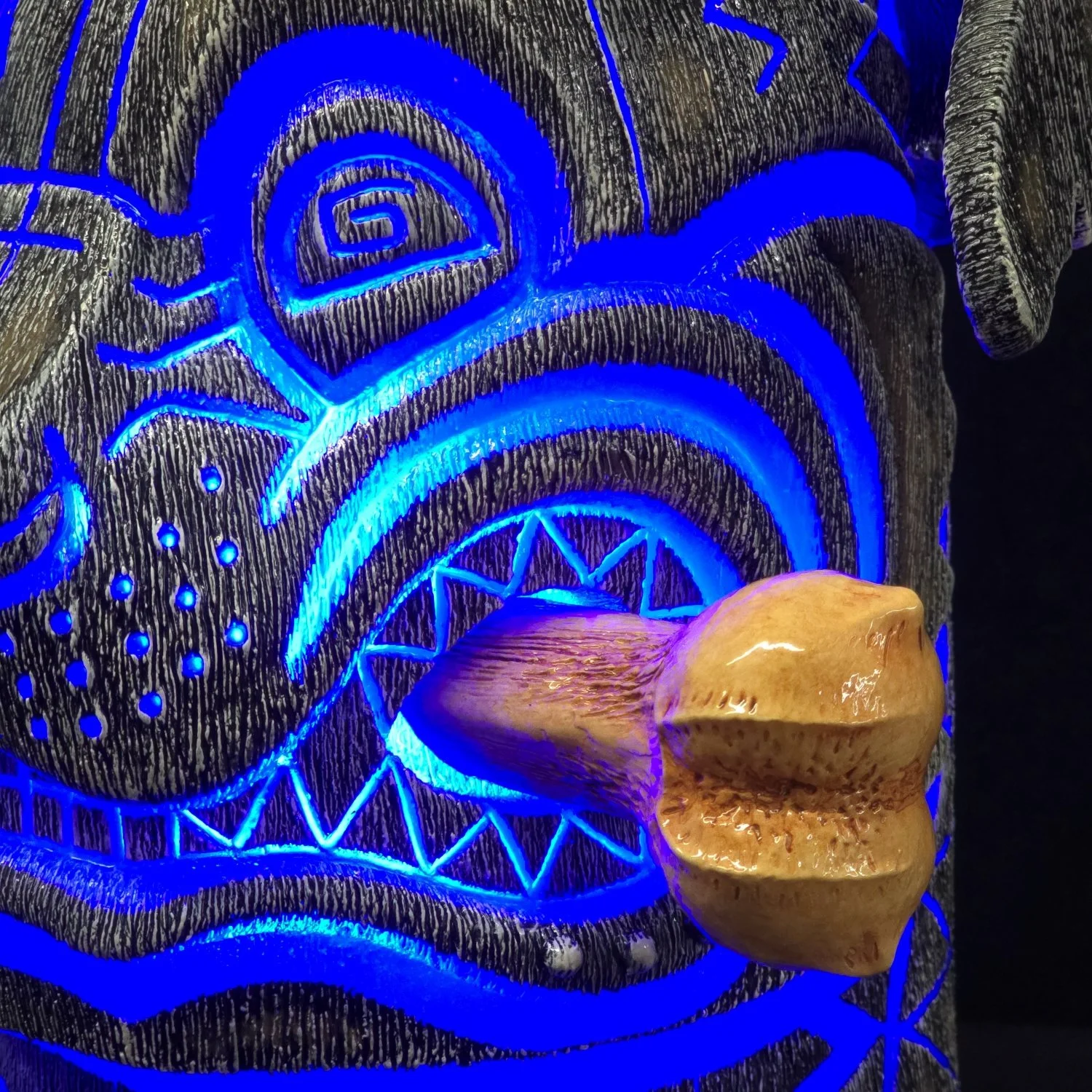 20260226_121619 - Copy.jpg