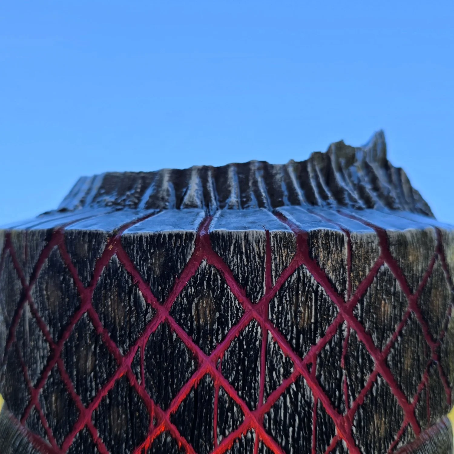 20250123_130655 - Copy.jpg