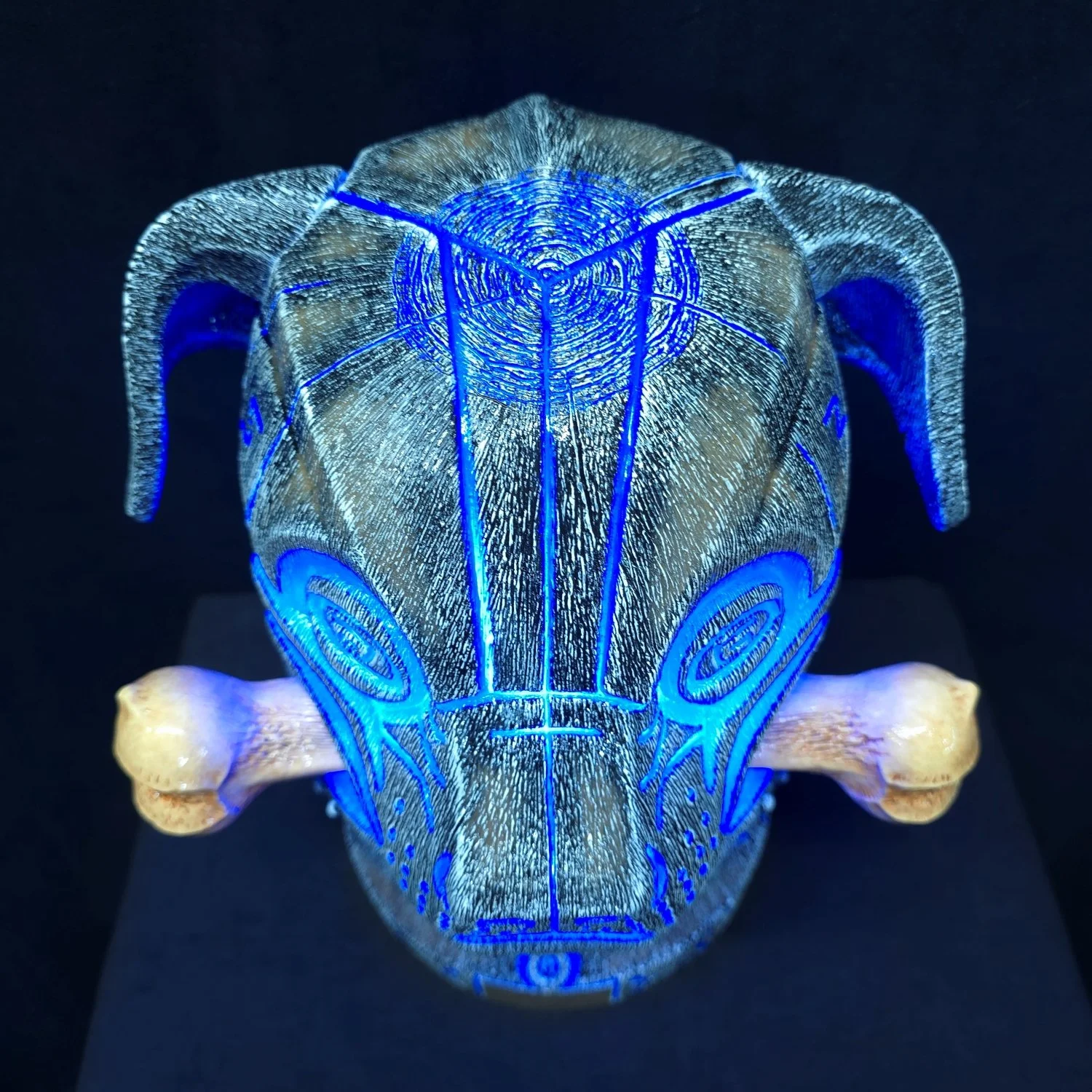 20260226_122238 - Copy.jpg