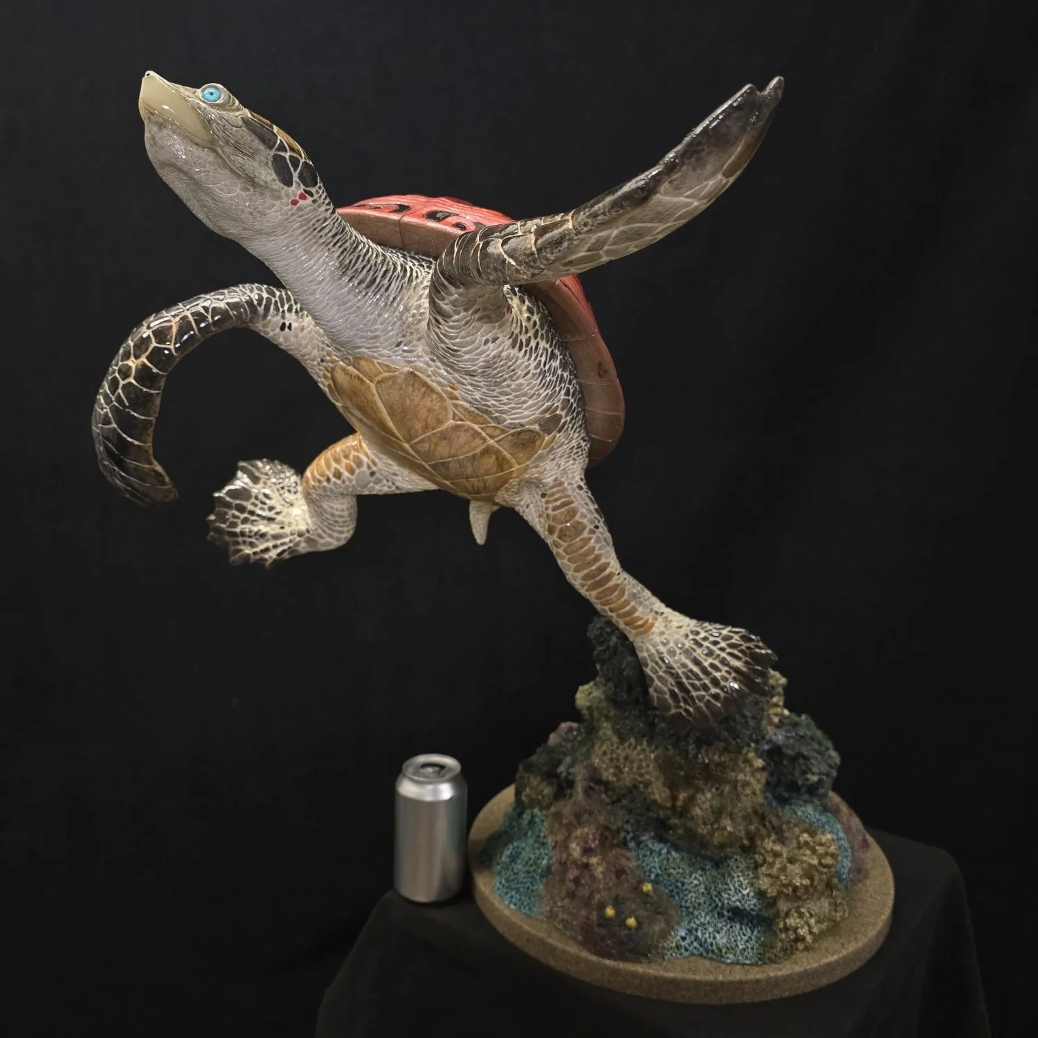 20260404_150440 - Copy.jpg