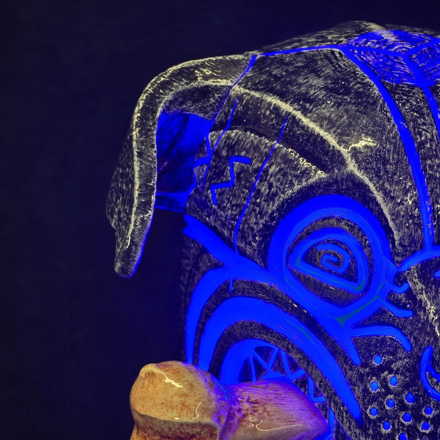 20250926_115606 - Copy.jpg