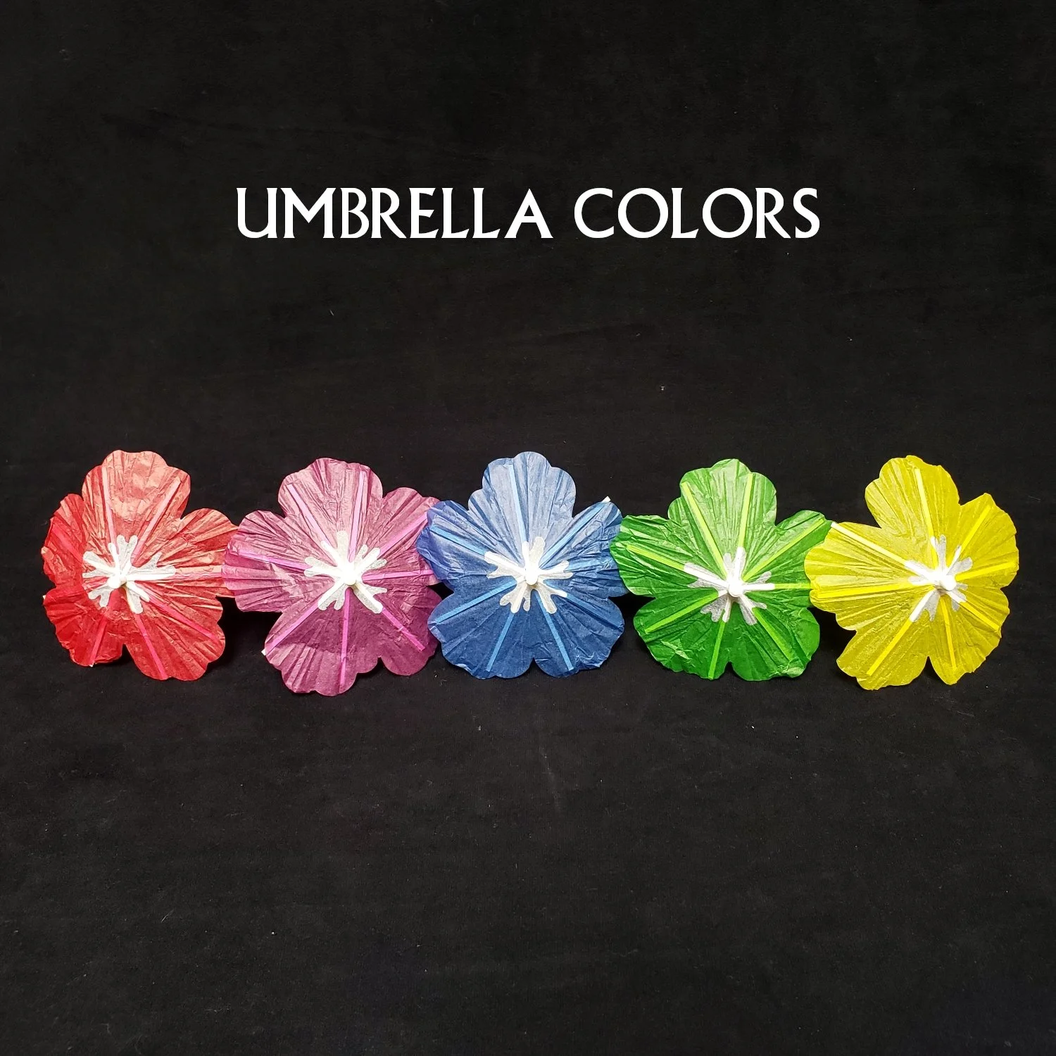 Umbrella Colors.jpg