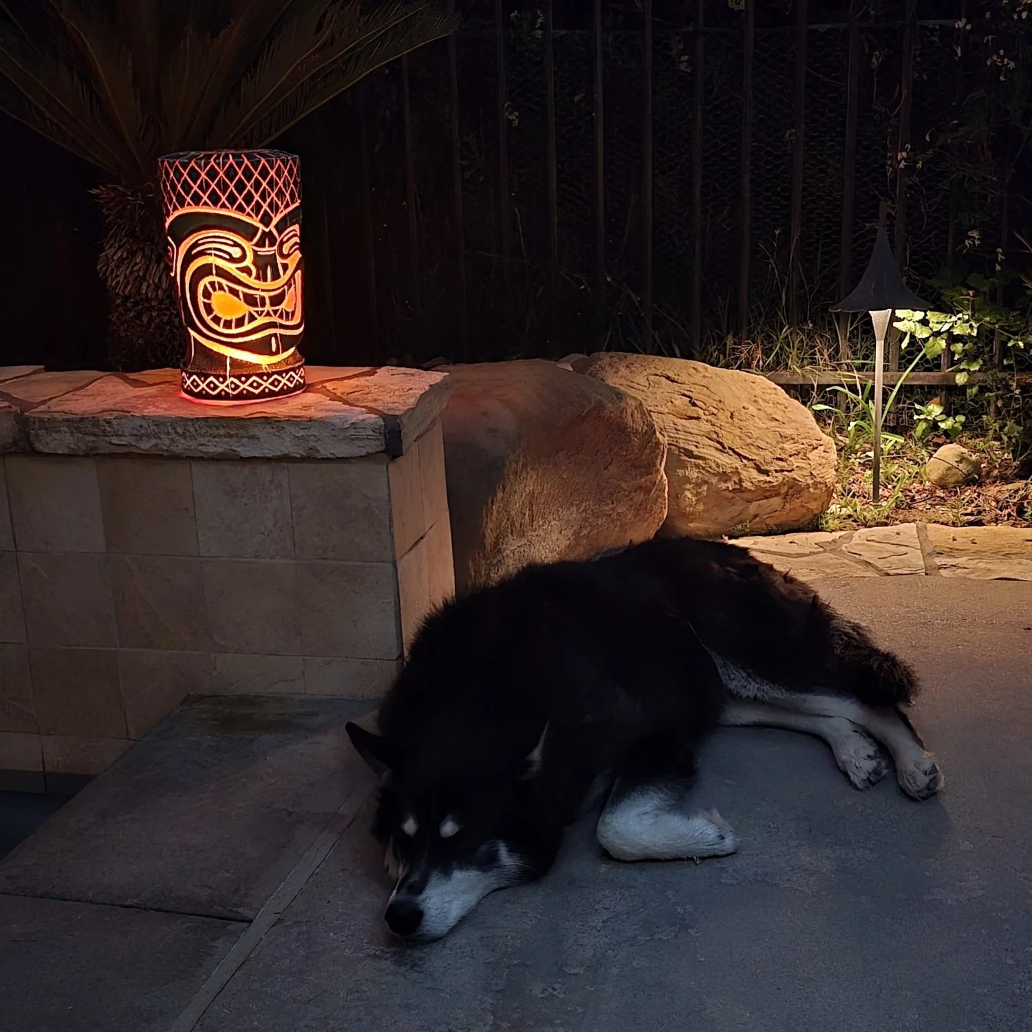 20260321_194802 - Copy.jpg