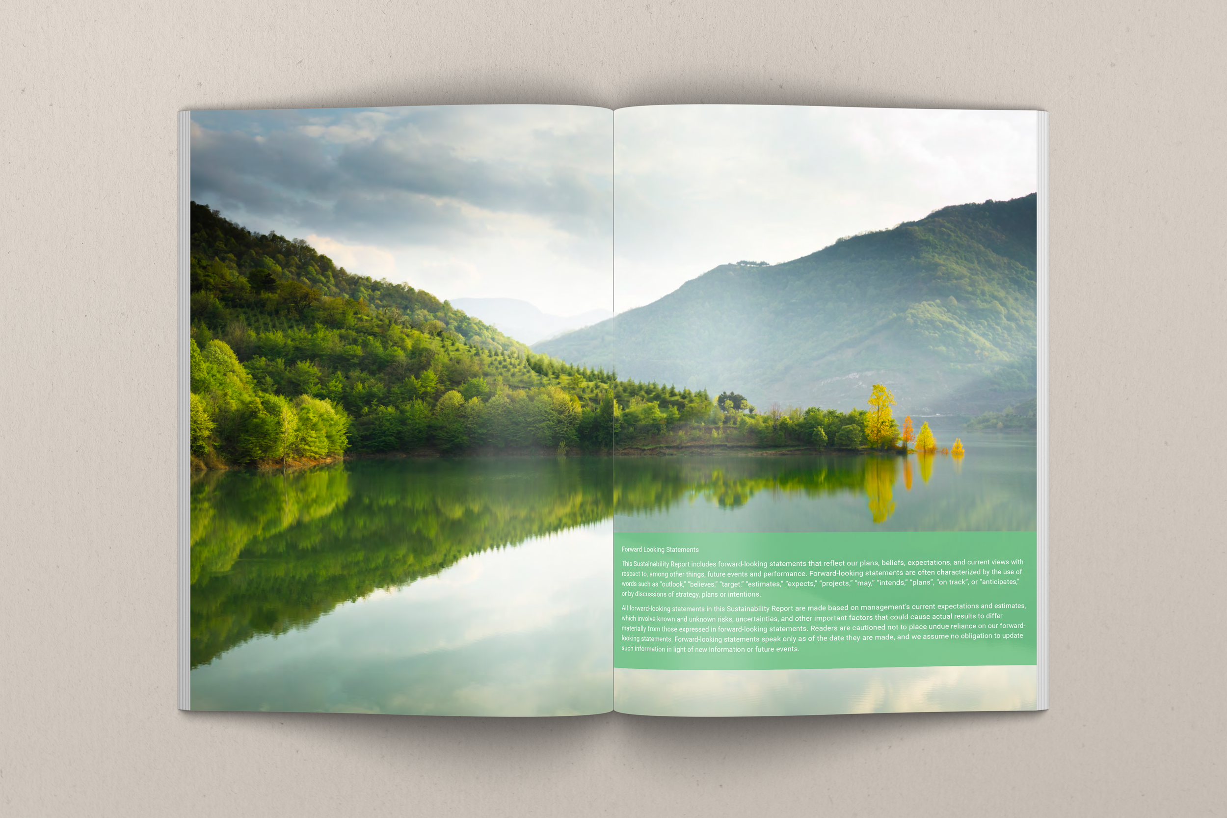 Sustainability-Report-Inside-Mockup-5.png