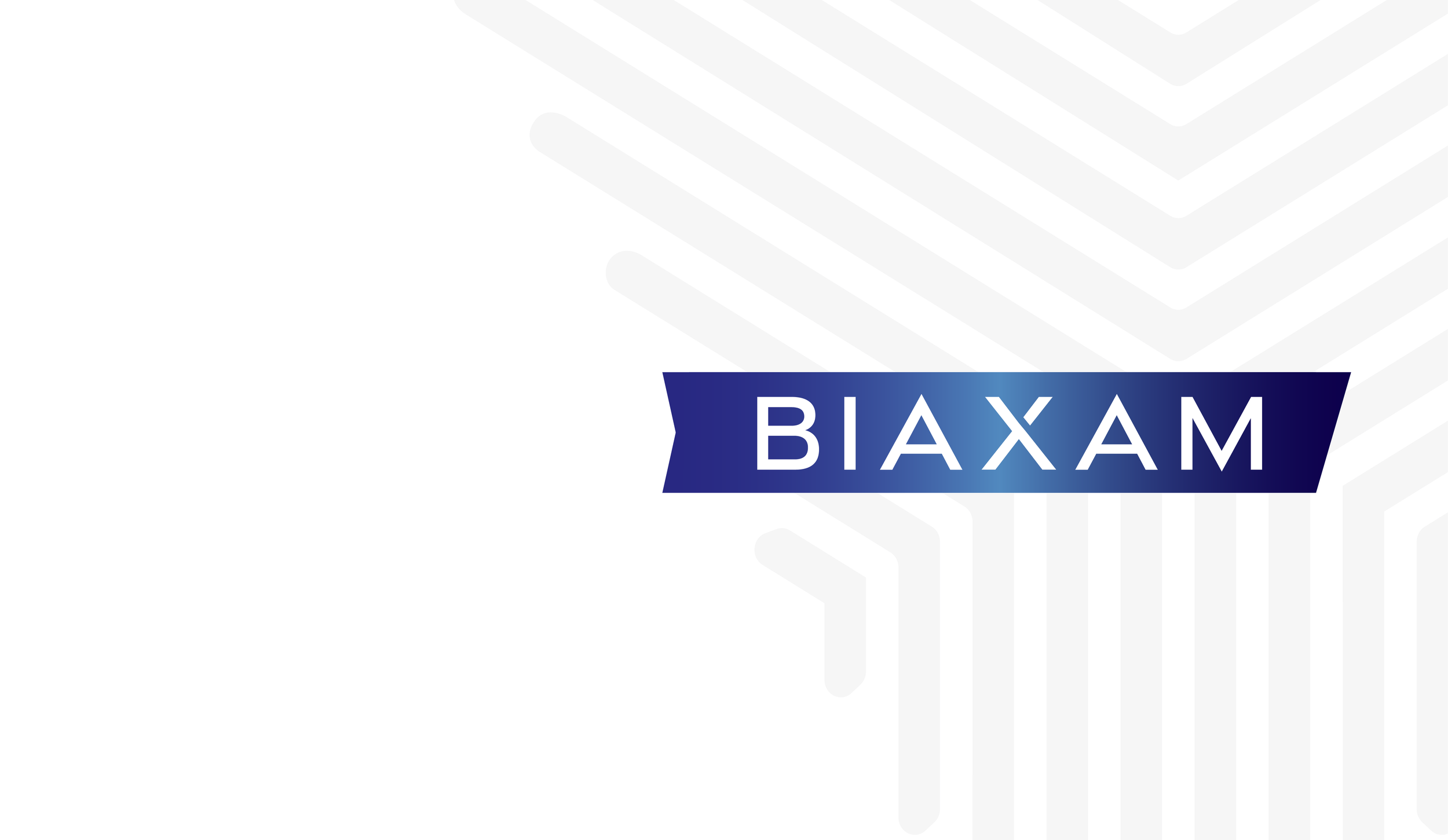 BIAXAM-logo-guide-2.27-01.png