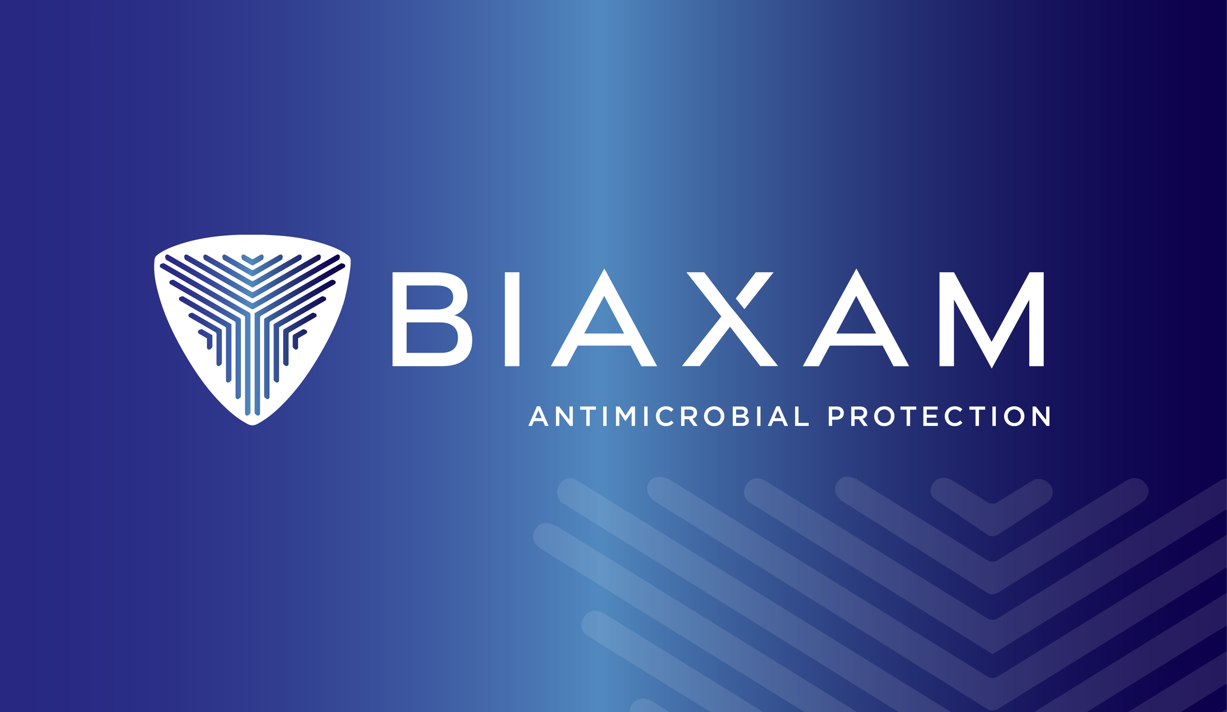 BIAXAM-logo-guide-2.27-04.png