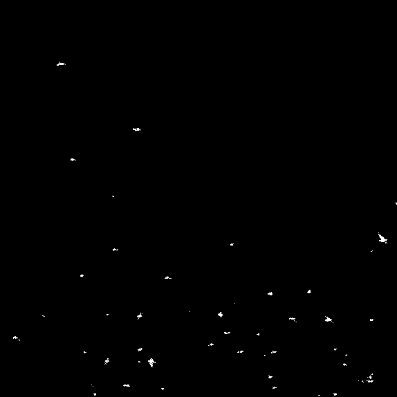 Cut3302.gif