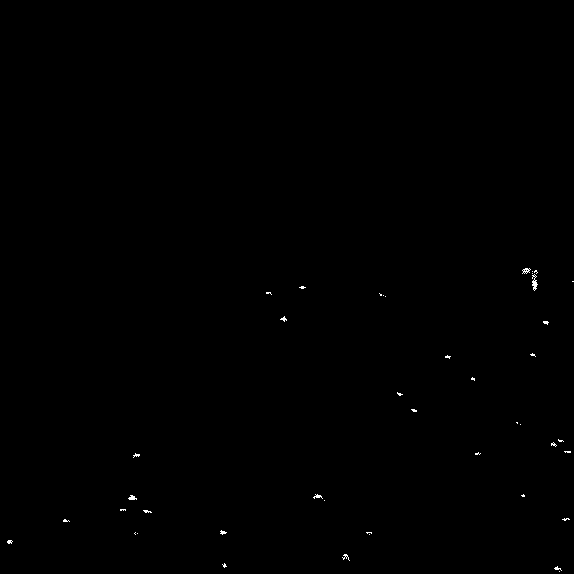 Cut3303.gif