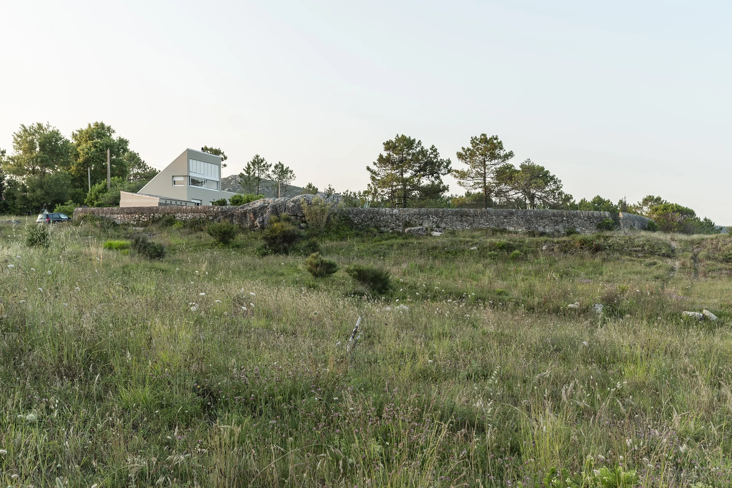 _DSC7538.jpg (copia)