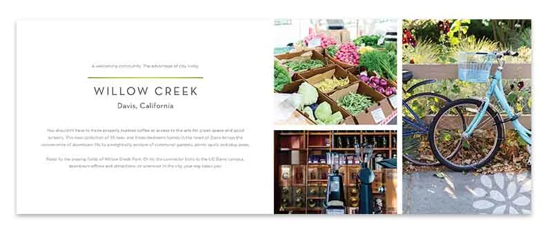 Willow Creek Brochure1.jpg