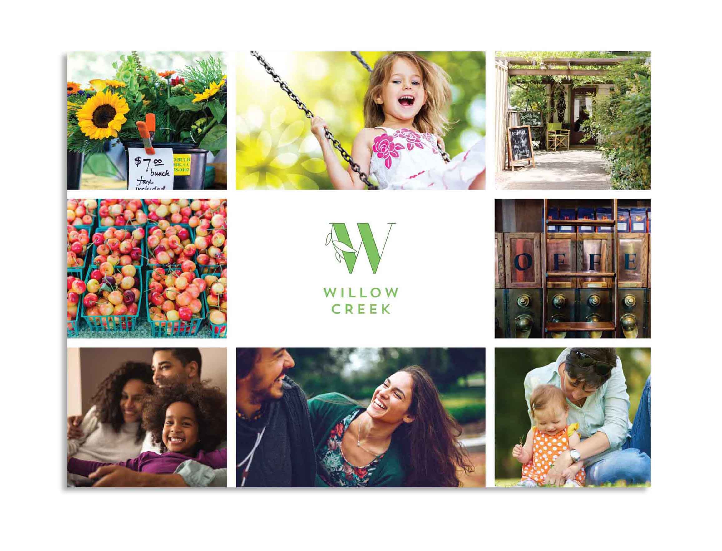 Willow creek coverb.jpg