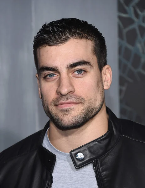 Insurgent New York premiere