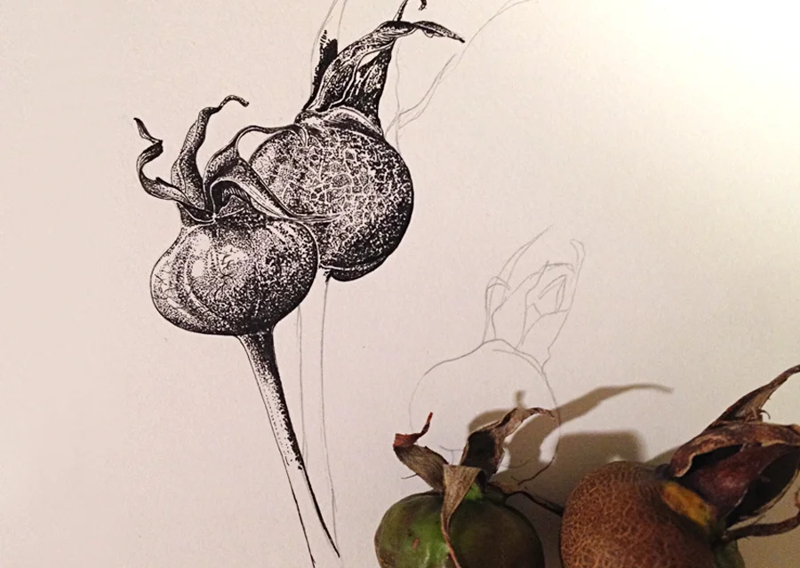 Draw 12.jpg