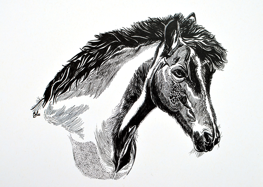 W Creature 07.jpg