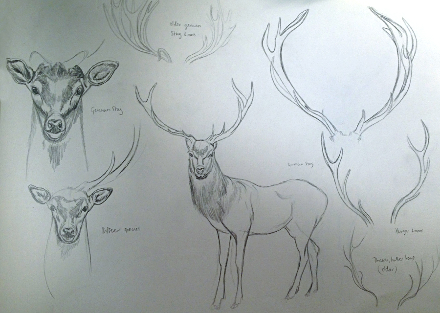 W Creature 16.jpg