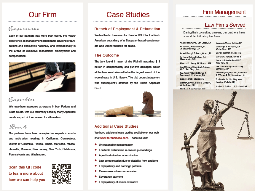 Brochure for a legal consulting firm-Side 2.  Pocket on right-hand side for inserts.