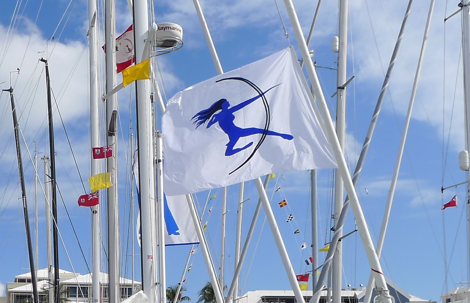 Racing banner for a sailing yacht.