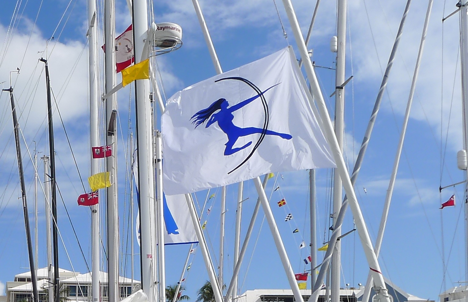 Racing banner on display