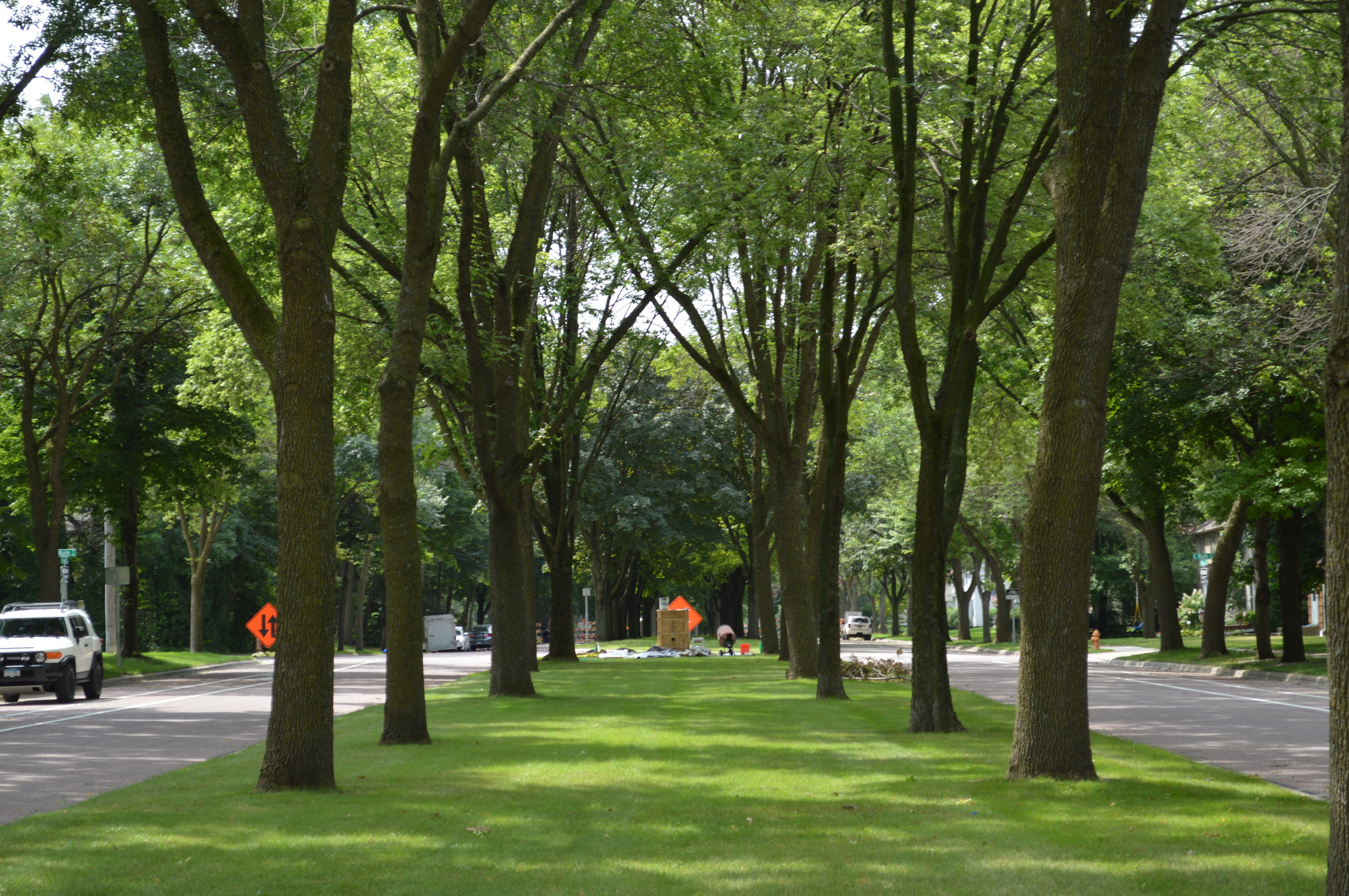 Broad Street Boulevard, Mankato, looking southwest below canopy of ash trees, sculpture mold positioned at the end of block. 