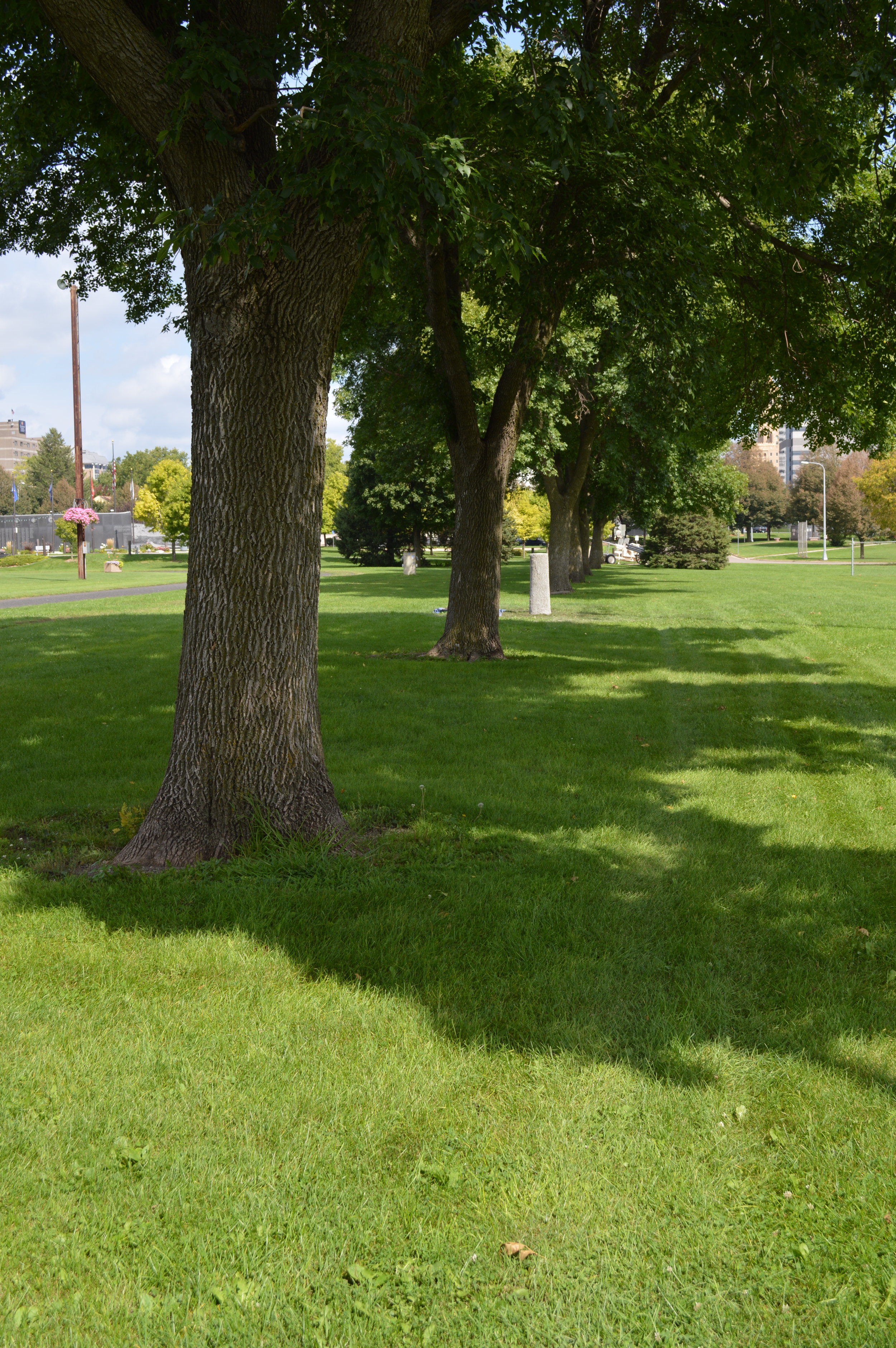 Soldier's Field Park.&nbsp; Rochester, MN