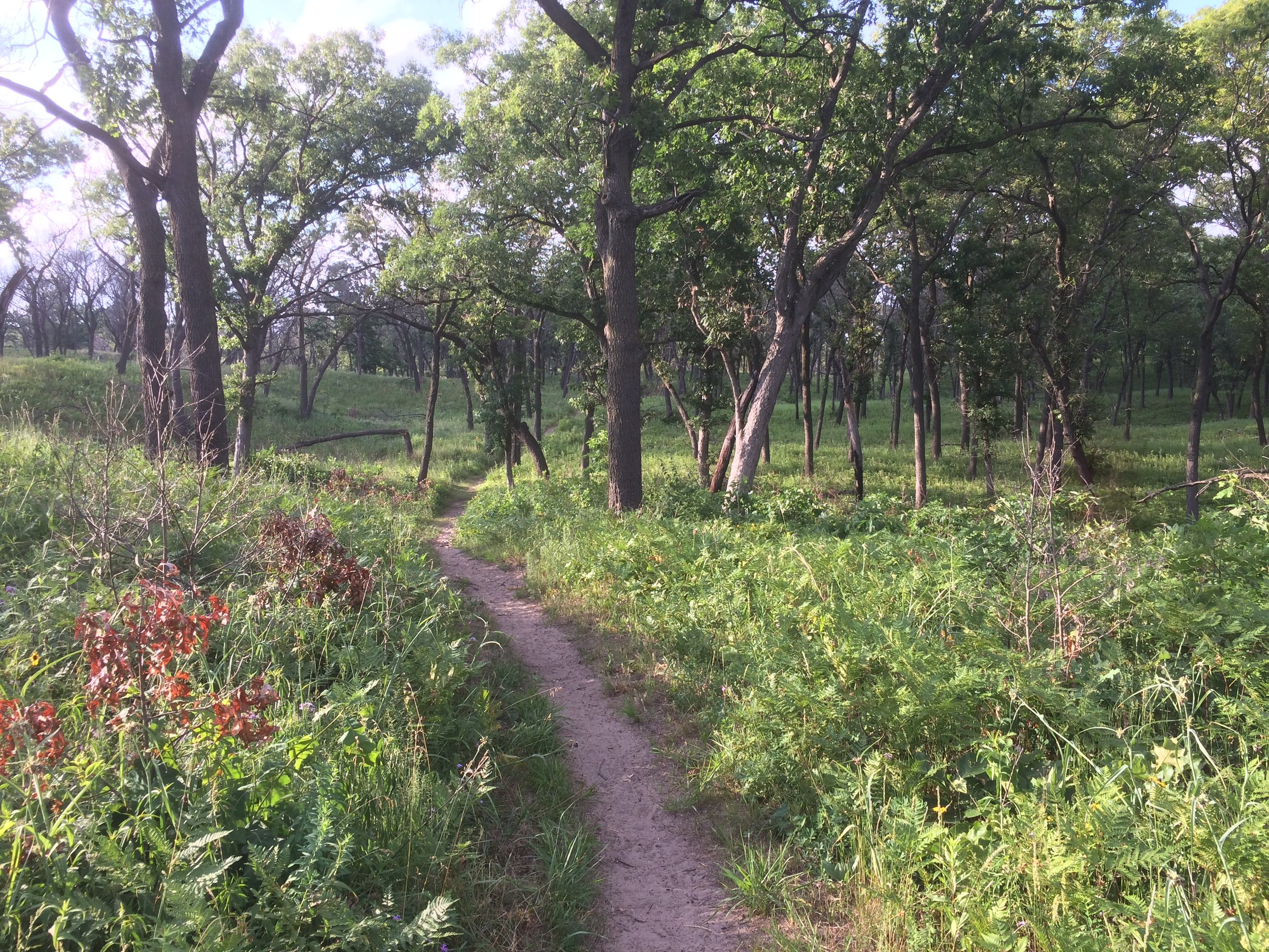 National Park Trail