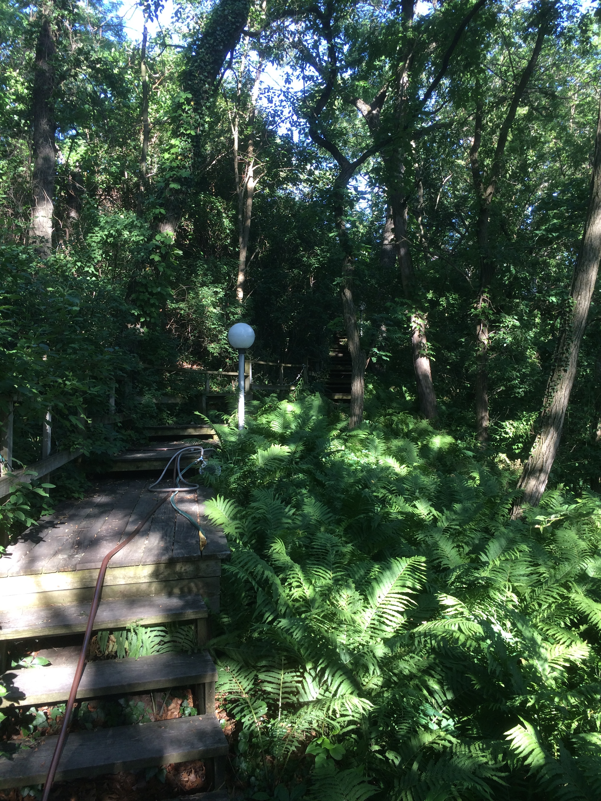 Dunesteps to the residency house