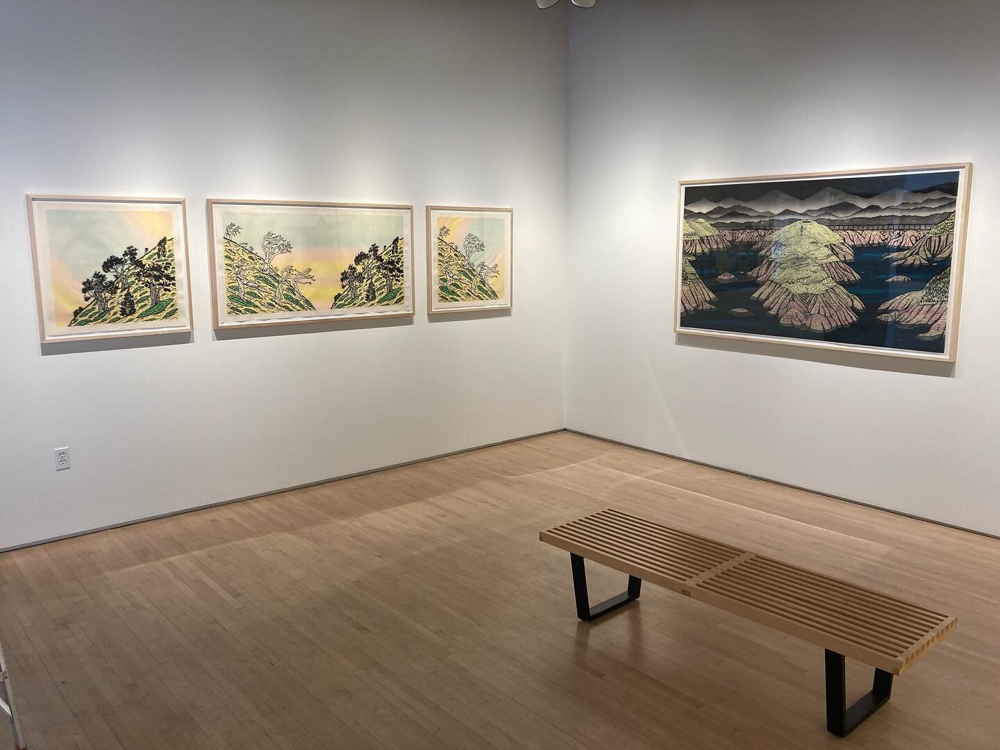 A few more images of McKnight exhibition @highpointprints .  The gallery is open 9-5 during the week and 12-4 on Saturdays.  I hope you can catch it in person. 

#printmaking #woodcut #screenprinting #lithography