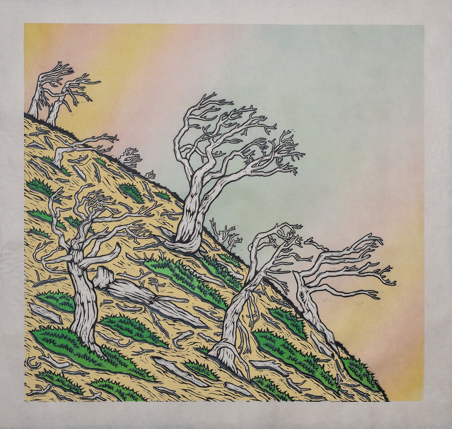 &quot;Whitebark Pine, Death of a Keystone in the Rockies&quot; 

Color Woodcut with silkscreen

Image credit: Seth Dahlseid
#printmaking #woodcut #screenprinting