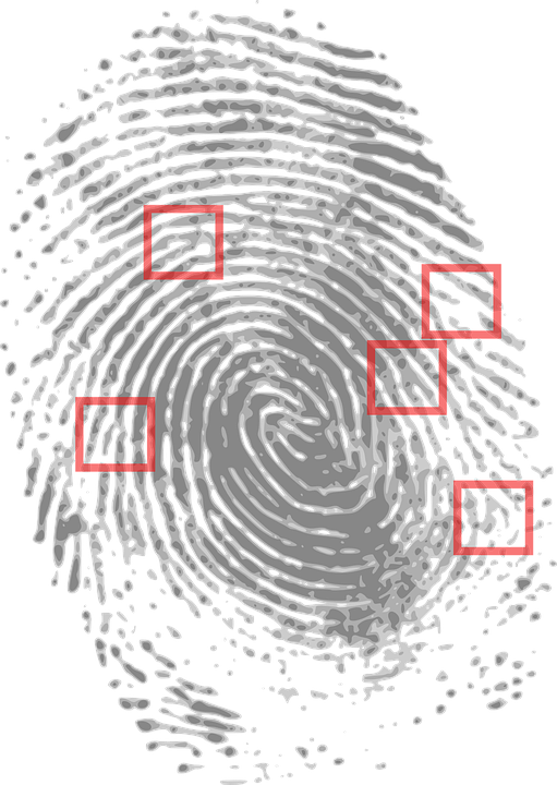 Se utilizan las huellas digitales para identificar a los criminales.