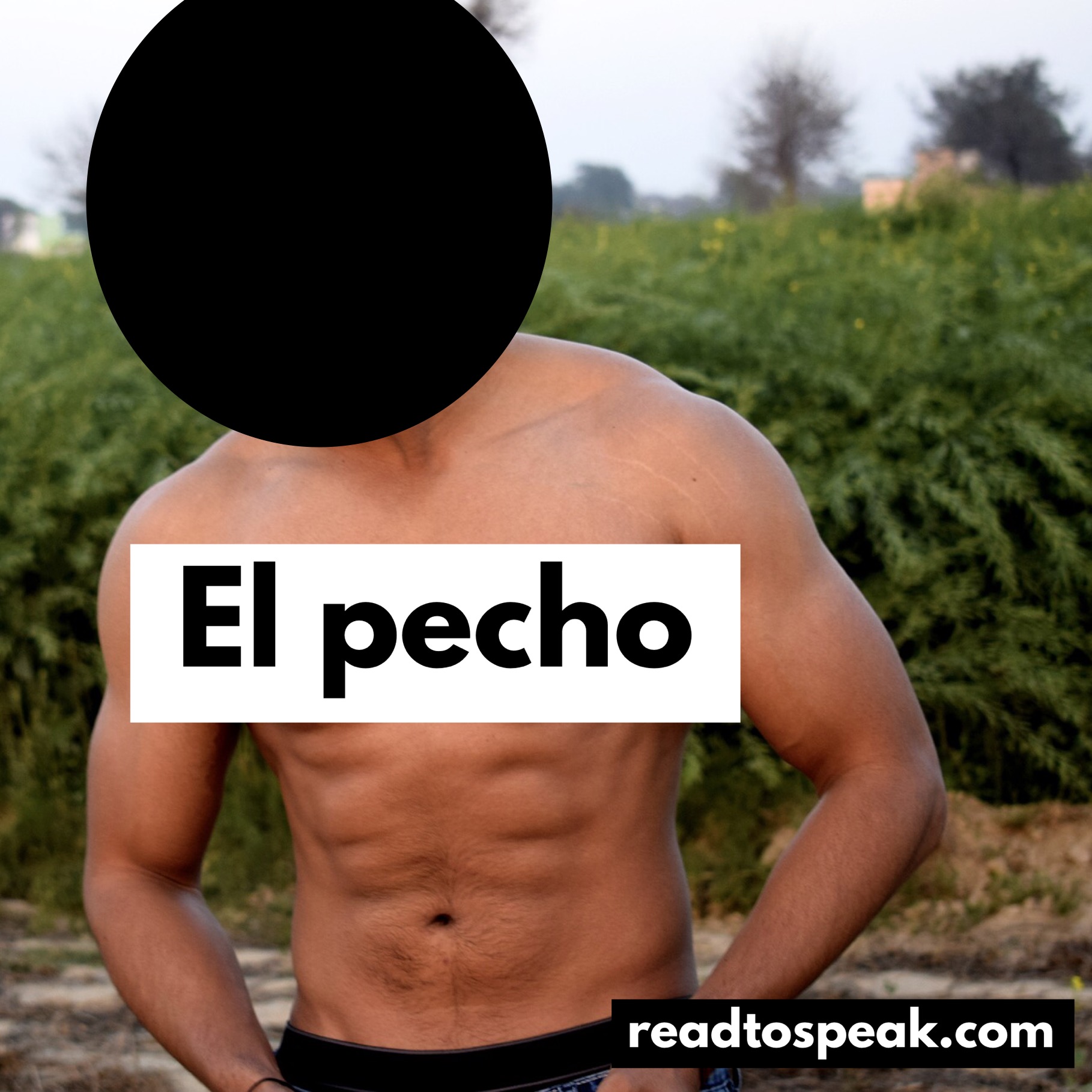 Read to Speak Spanish - el pecho.jpg