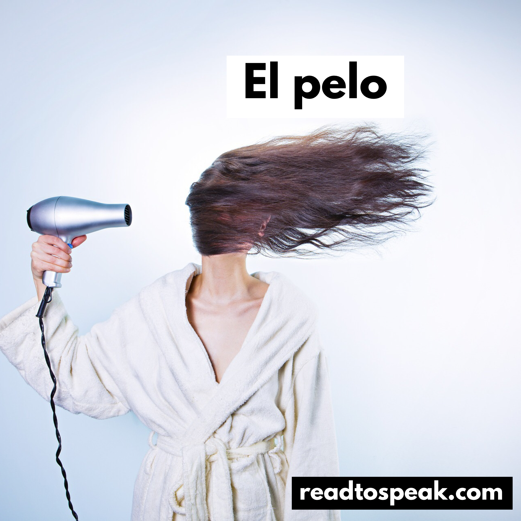 Read to Speak Spanish - el pelo.PNG