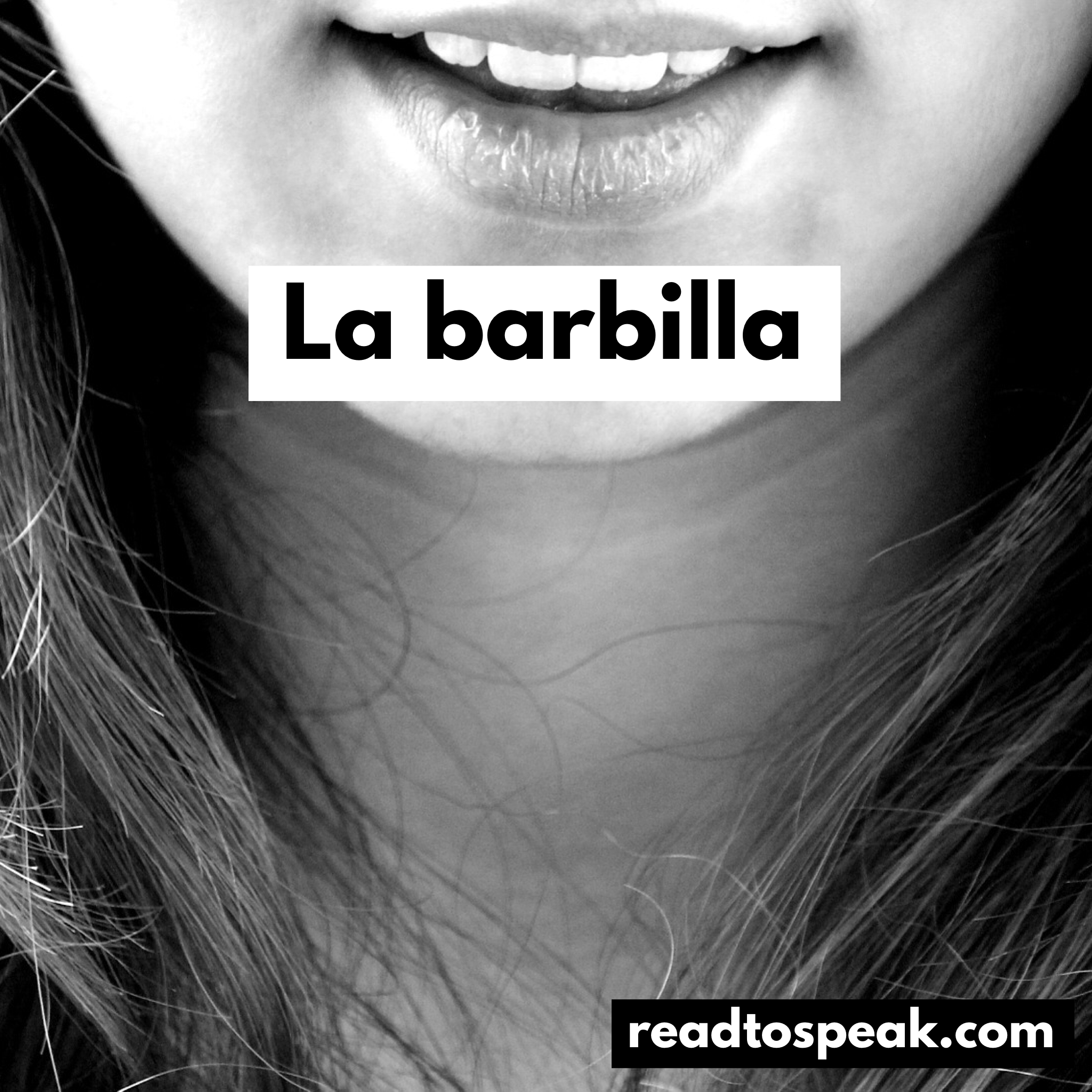 Read to Speak Spanish - la barbilla.PNG