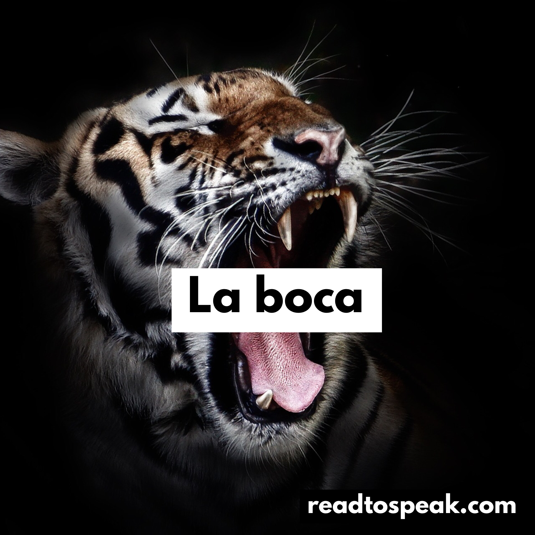 Read to Speak Spanish - la boca.PNG